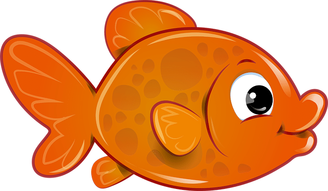 Comment déterminer l'âge d'un poisson rouge ?