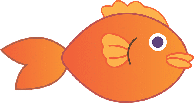 Comment faire pour reproduire les poissons rouges ?