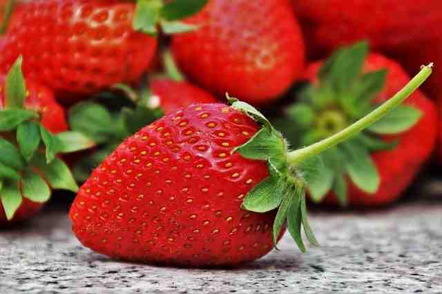 Quand planter les fraisiers avec le calendrier lunaire ?