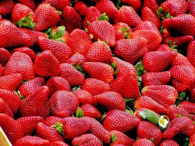 Quel engrais naturel pour les fraises ?