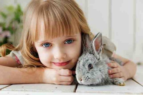 Comment savoir si votre lapin vous aime ?
