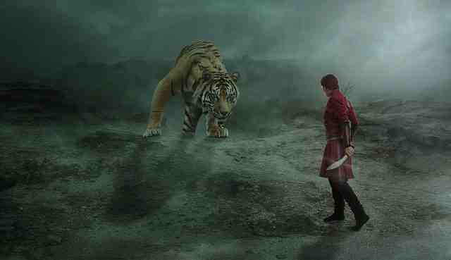 Les tigres sont-ils dangereux pour l'homme ?