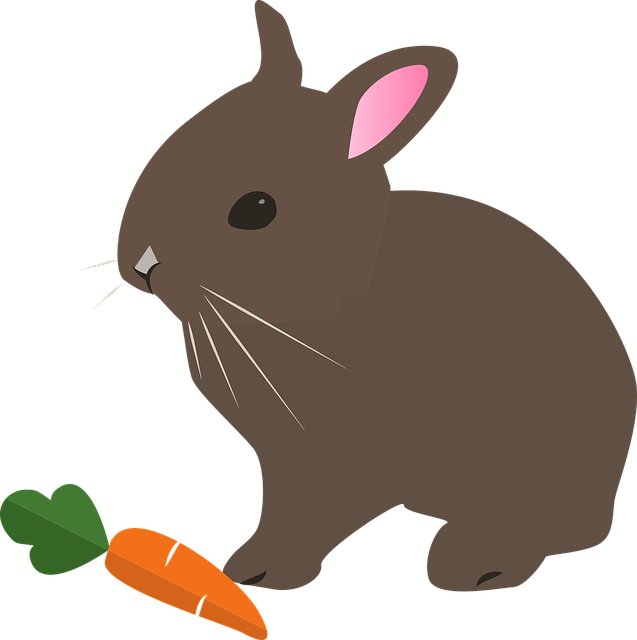 Qu'est-ce que mange un lapin domestique ?