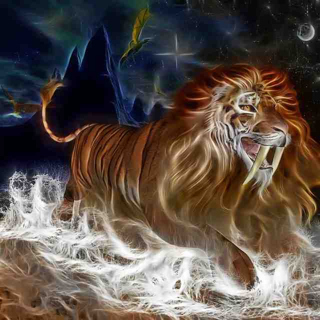 Un lion peut-il battre un tigre ?
