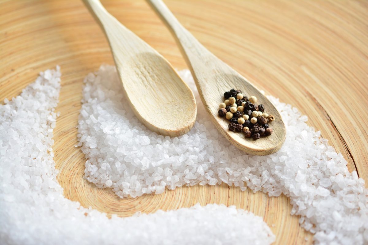 Quel est le rôle du sel dans l'organisme ?