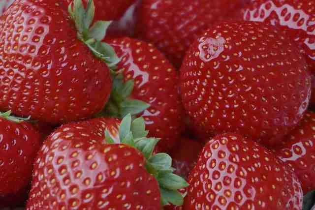 Comment cueillir des fraises ?